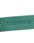 Goyard Green Goyardine Saint Louis PM Bag