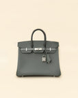 Hermes Tricolor Birkin 25 Bag