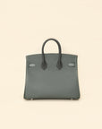 Hermes Tricolor Birkin 25 Bag