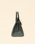 Hermes Tricolor Birkin 25 Bag