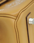 Hermes Biscuit In and Out Birkin 25 Bag