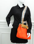 Hermes Bicolor Herbag 31 PM Toile Vache Hunter Bag