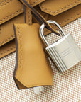 Hermes Bicolor Toile H Swift Birkin 25 Bag