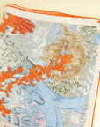 Hermes Tricolor Retour a la Nature Shawl 140