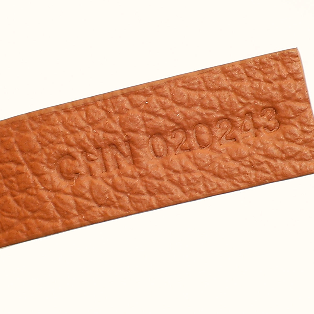 Goyard Bicolor Goyardine Saint Louis PM Bag