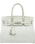 Hermes Beton Alligator Birkin 30 Touch Bag