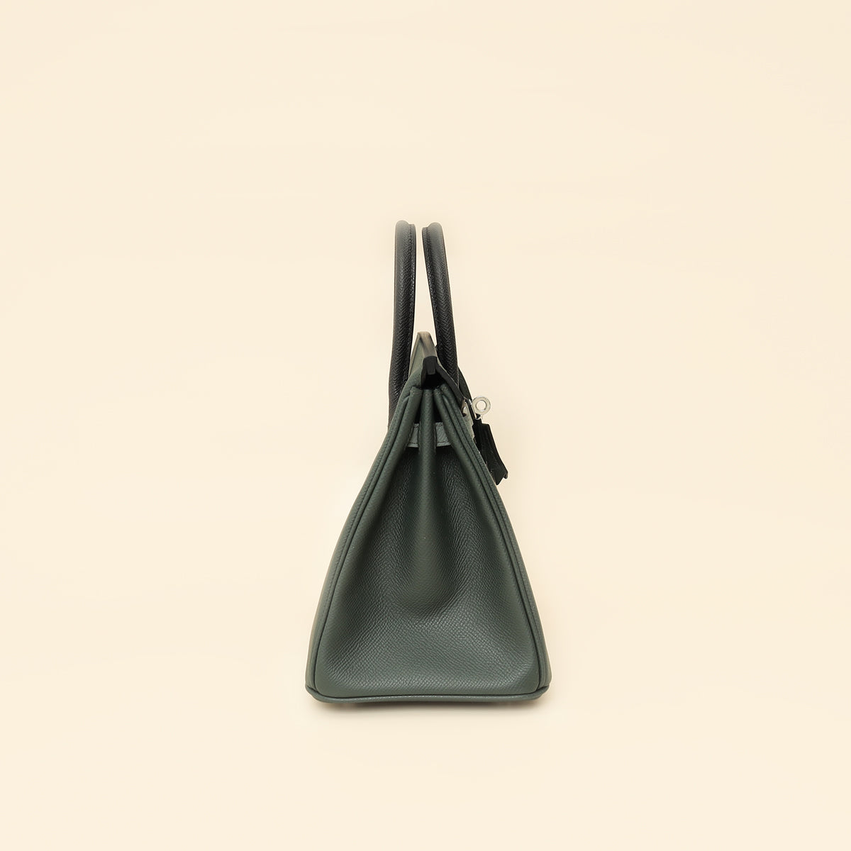 Hermes Tricolor Birkin 25 Bag